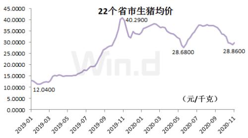 降！降！降！ 豬肉連降10周，多種菜價降20%