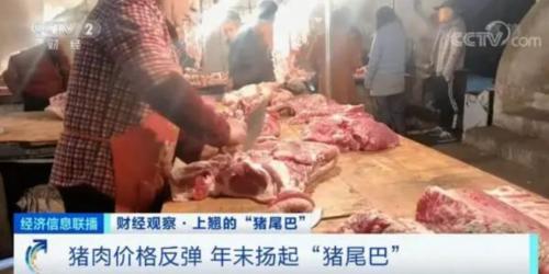 豬肉價(jià)格反彈，1頭豬利潤(rùn)＝2瓶茅臺(tái)酒？