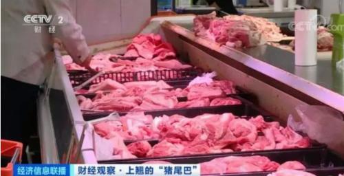 豬肉價(jià)格反彈，1頭豬利潤(rùn)＝2瓶茅臺(tái)酒？