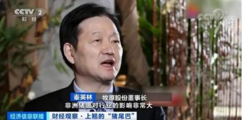 豬肉價(jià)格反彈，1頭豬利潤(rùn)＝2瓶茅臺(tái)酒？