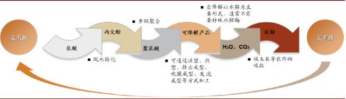 中金：順應時代趨勢，掘金可降解塑料產業投資機會