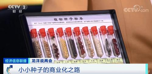 中國(guó)糧,用中國(guó)種!