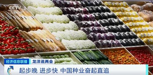 中國(guó)糧,用中國(guó)種!