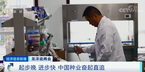 中國(guó)糧,用中國(guó)種!