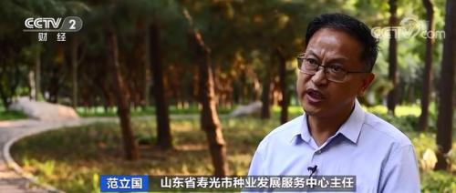 中國(guó)糧,用中國(guó)種!