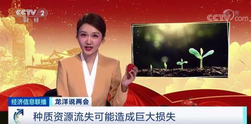 中國(guó)糧,用中國(guó)種!