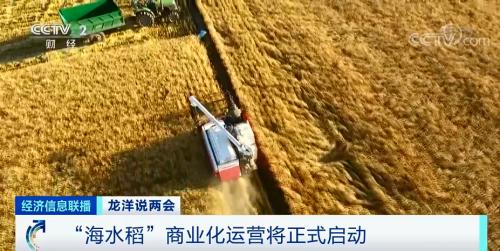 中國(guó)糧,用中國(guó)種!