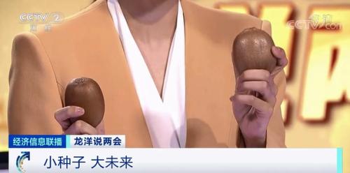 中國(guó)糧,用中國(guó)種!