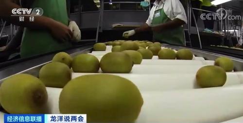 中國(guó)糧,用中國(guó)種!